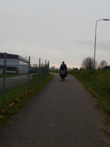 NWK 2014 015.jpg